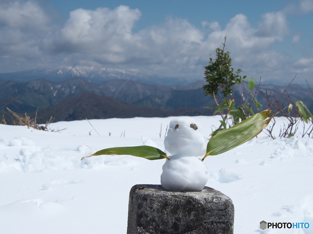 雪に浮かれて