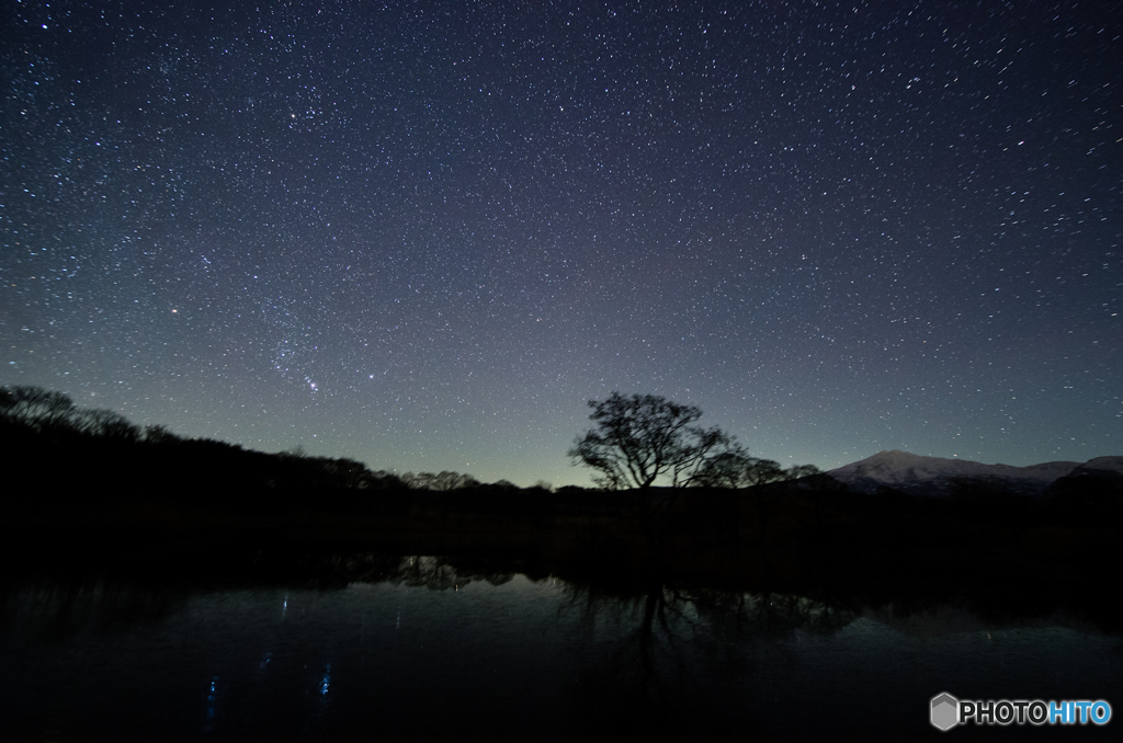 賑わい始める冬星たち