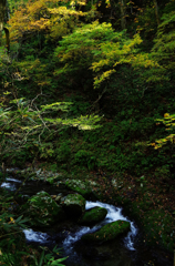 太平山奥岳登山2013秋・丸舞コースⅣ