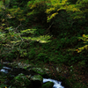 太平山奥岳登山2013秋・丸舞コースⅣ