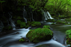 苔岩