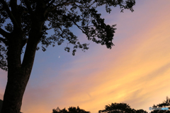 高原の夕べ