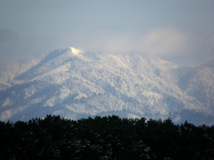 20101217大平山006X90