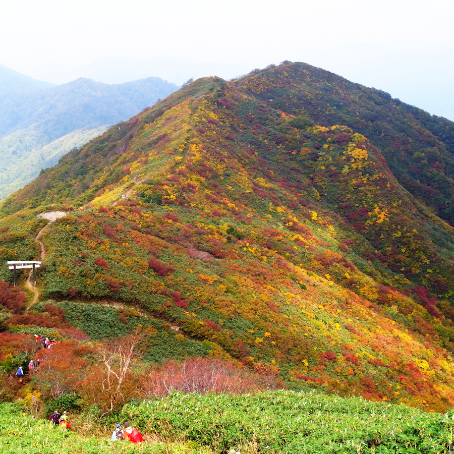 太平山・奥岳へ行ってきましたⅩⅠ