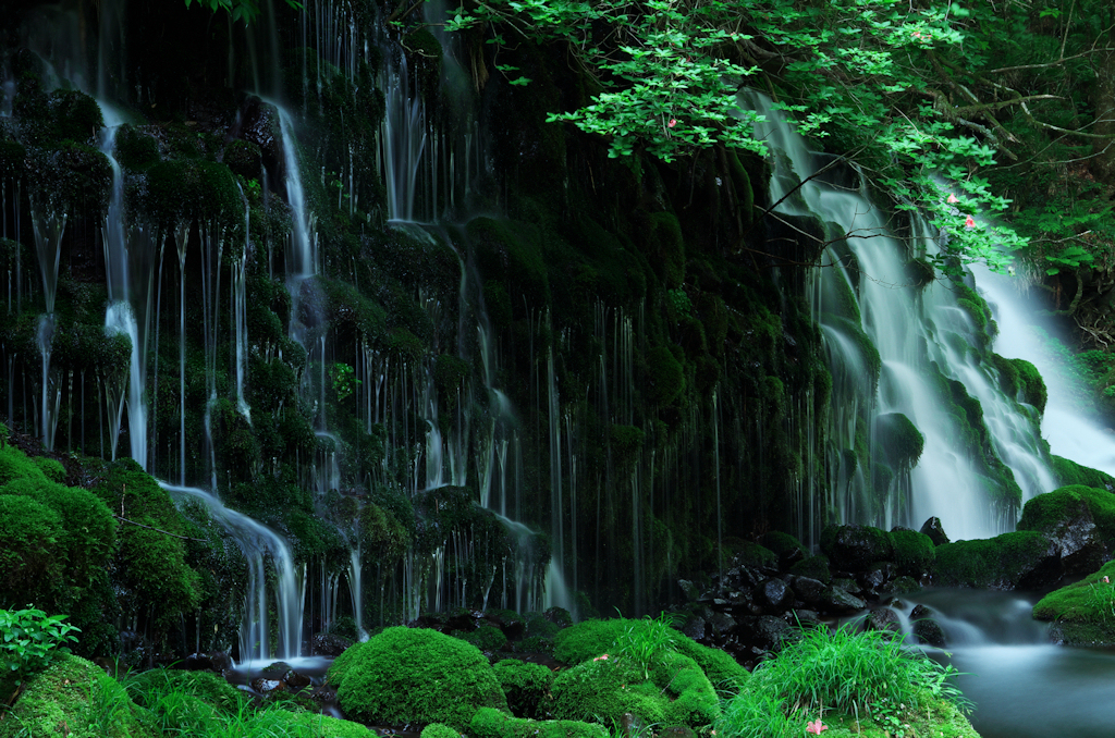 元滝伏流水2013　Ⅱ
