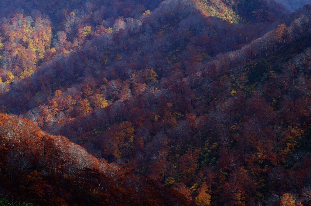 太平山2014Ⅺ