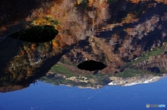 鶴間池Ⅱ