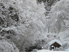 金山滝登山口