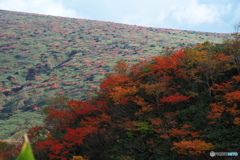 秋駒紅葉狩りⅠ