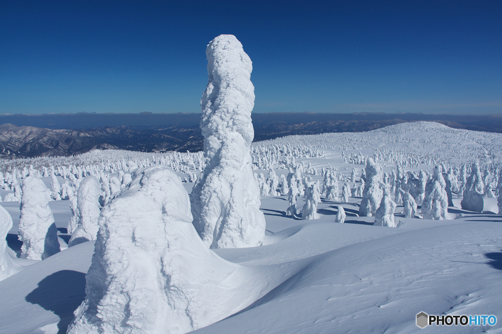SnowPole