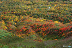 秋駒紅葉狩りⅢ