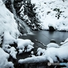 Fall&Winterbone
