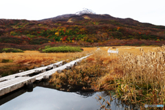 竜ヶ原湿原にてⅠ