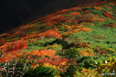 尾根の彩