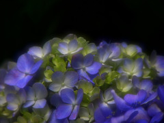 秋山先生みたいに