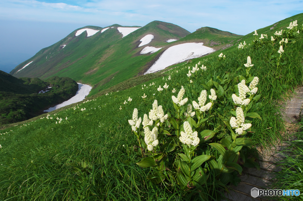 花と山とⅡ