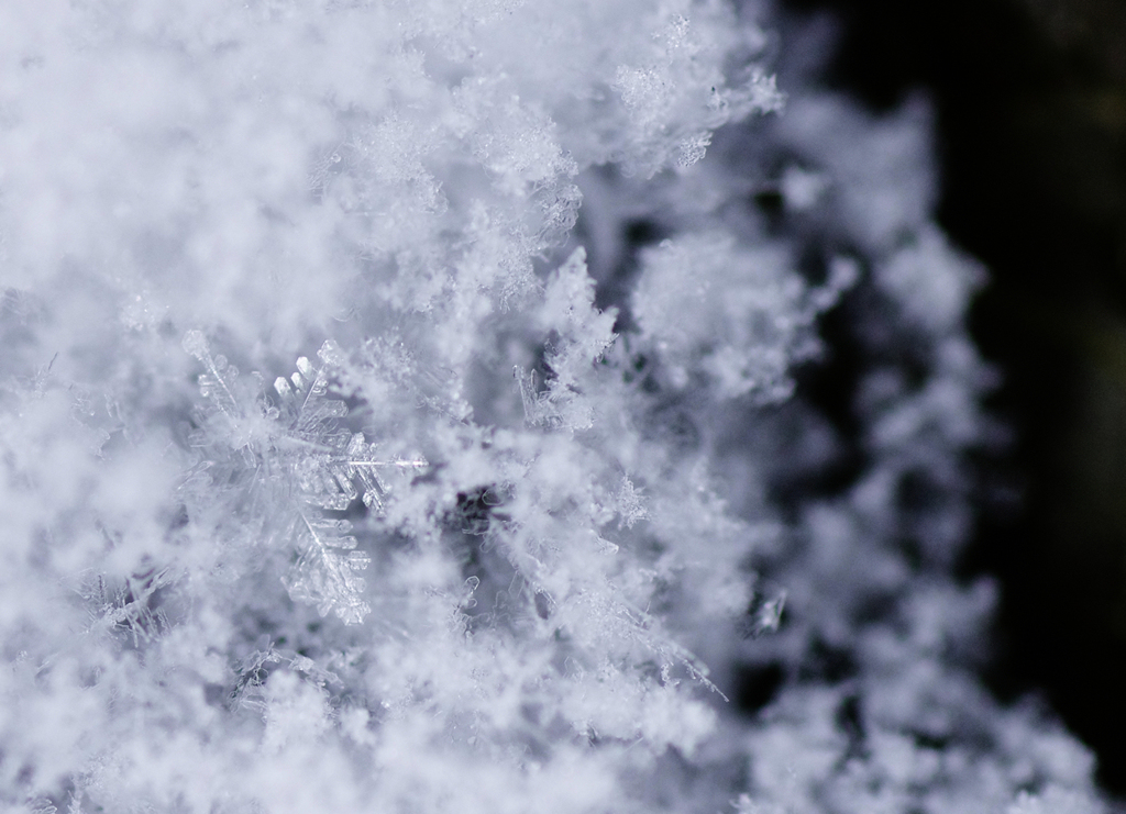 雪晶模様Ⅱ