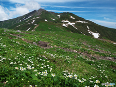 山と花と