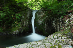 仙人沢の滝Ⅳ