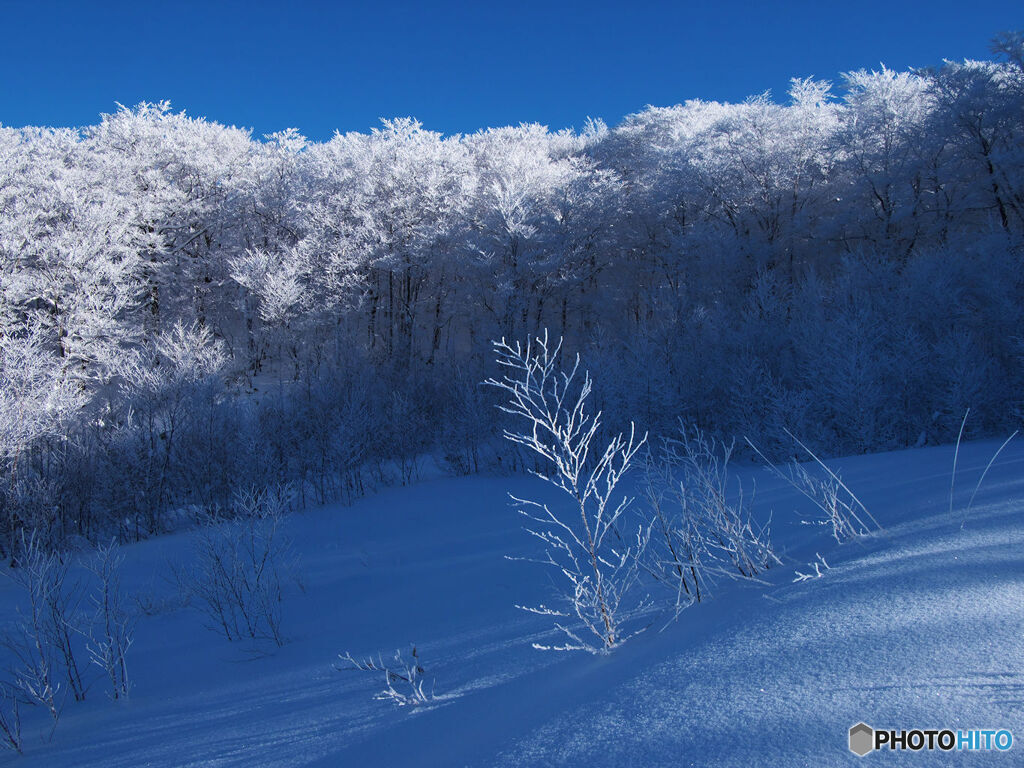 雪陽ハイクⅡ