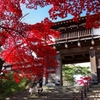 千秋公園・紅葉2014Ⅰ