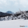 見守るお山