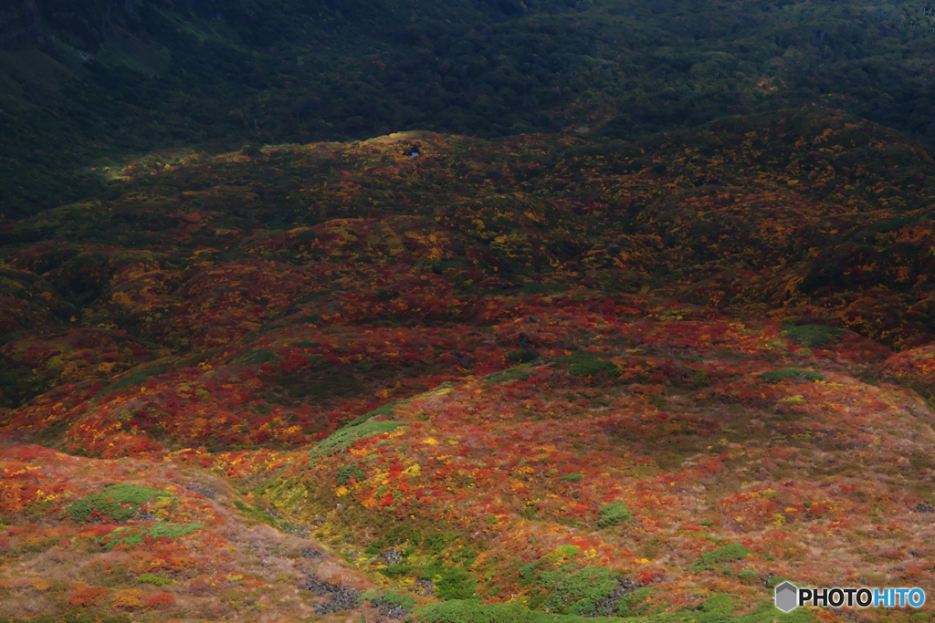 中島台の紅葉Ⅰ