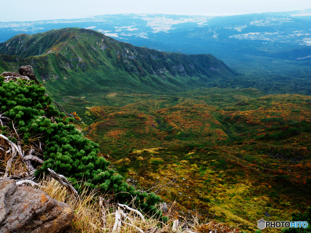 紅葉の中島台