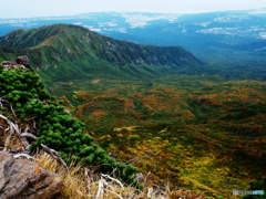 紅葉の中島台