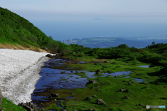 名残り雪の湿原