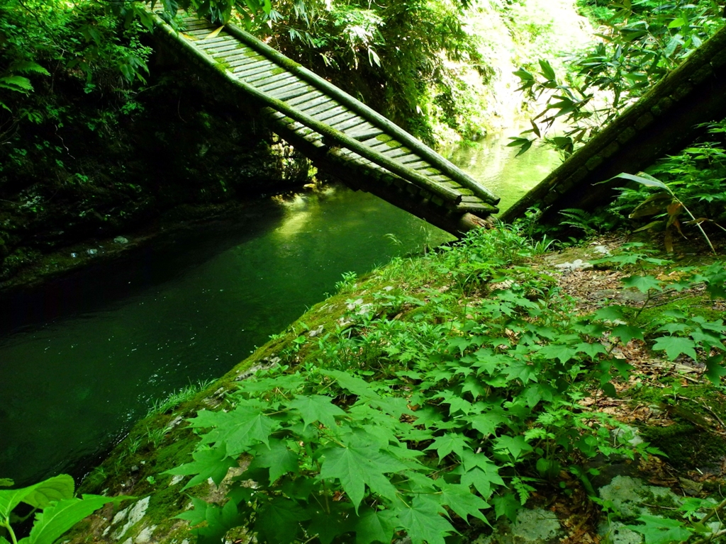 丸舞川 北ノ沢Ⅴ