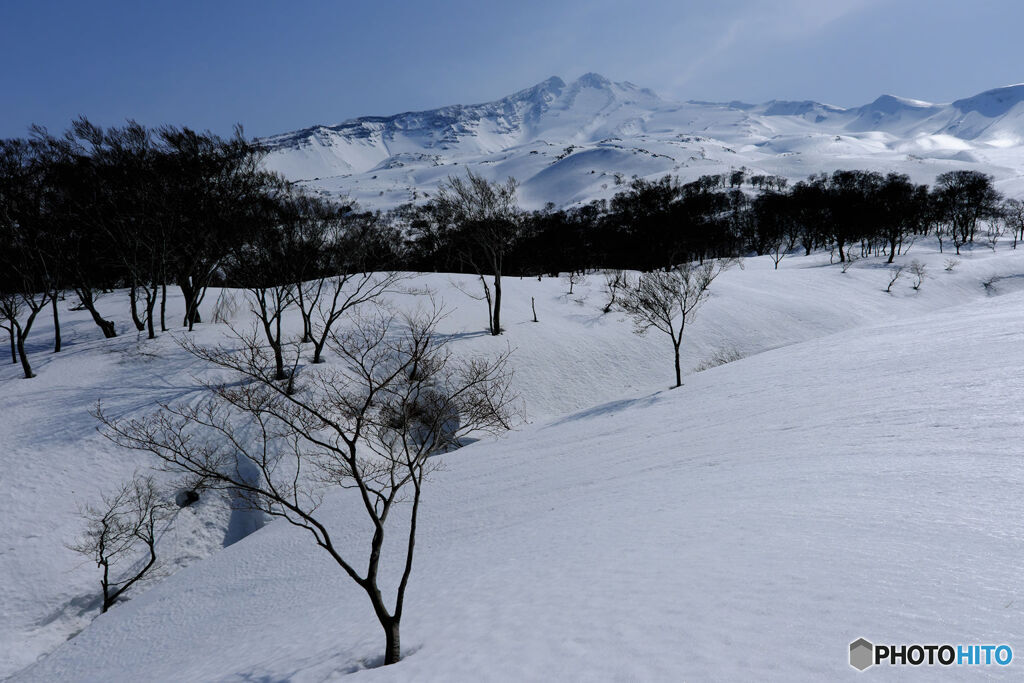 雪野