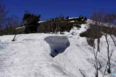 山頂へ・春の道