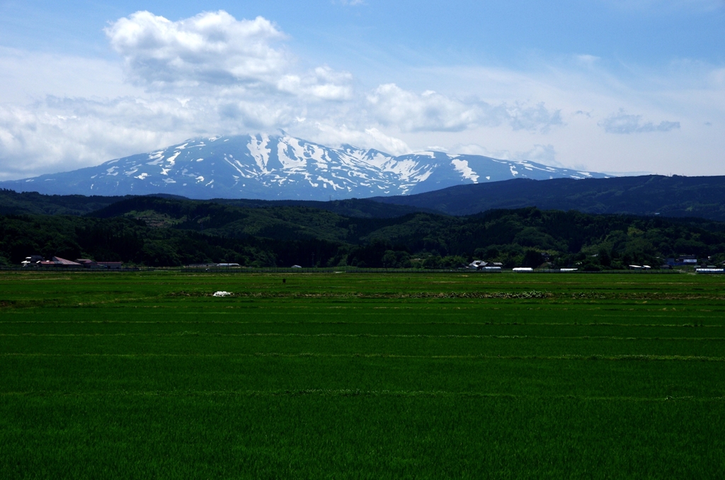 Mt.ちょ～かいonGreenⅡ