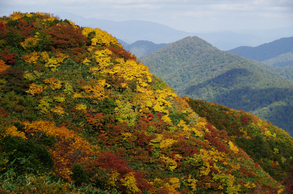 今年も行きました「太平山奥岳」10