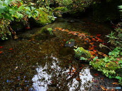 水場