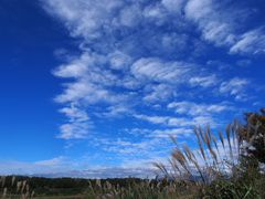 秋空Ⅰ