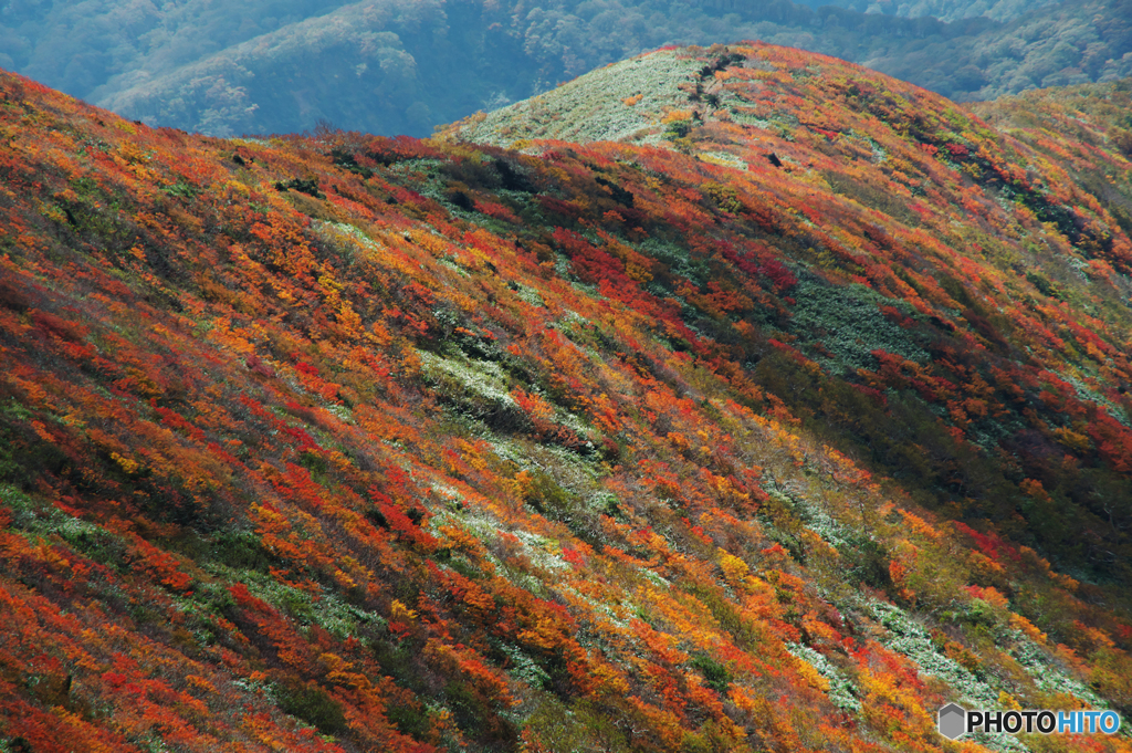 秋駒紅葉狩りⅤ