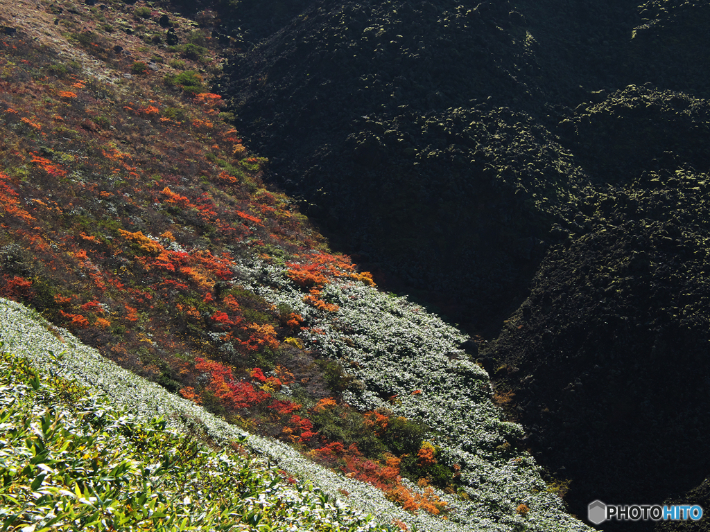 溶岩と紅葉