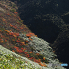 溶岩と紅葉
