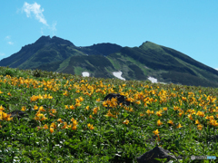 笙ヶ岳Ⅰ峰にて