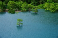 扇秋湖Ⅱ