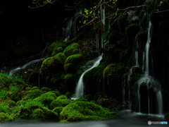 苔間縫う