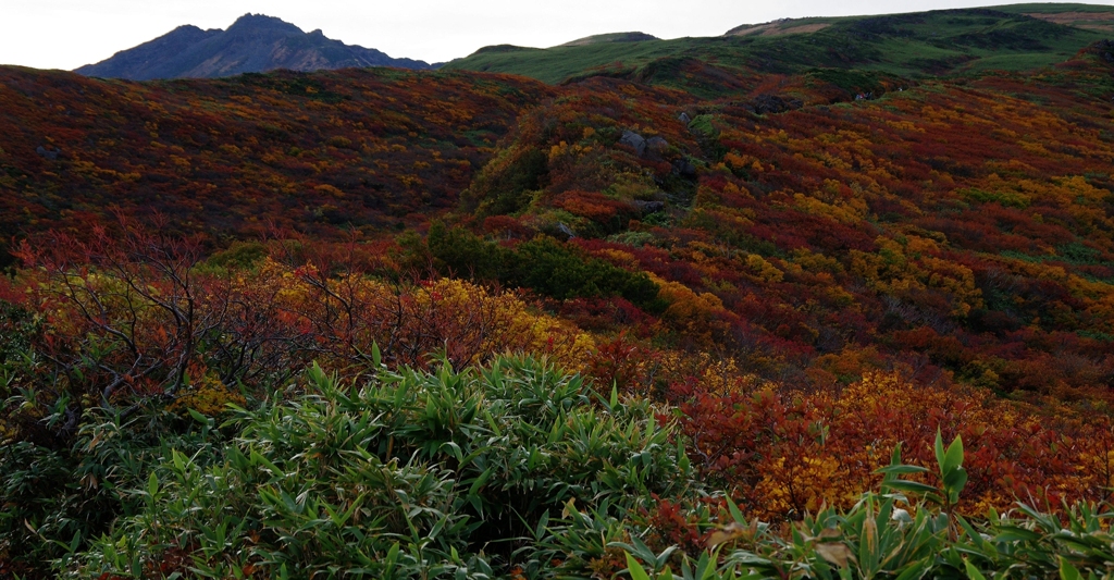 鳥海登山2014秋Ⅱ