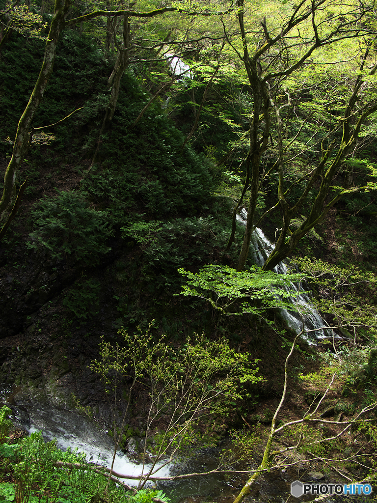 大亀の滝　俯瞰