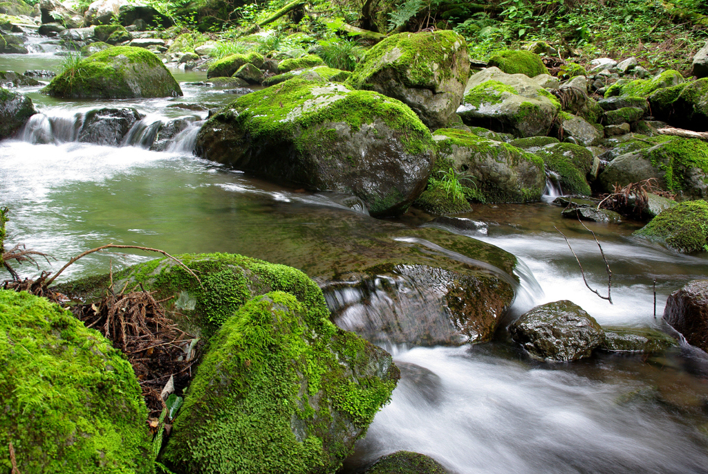 20100703e赤坂古道35渓流_K200D