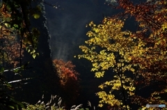 丁岳紅葉三昧Ⅰ
