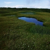虎毛山登山・高層湿原Ⅱ