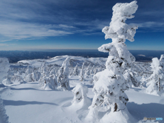 雪楽Ⅱ