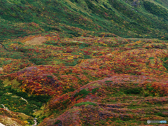 中島台Ⅱ